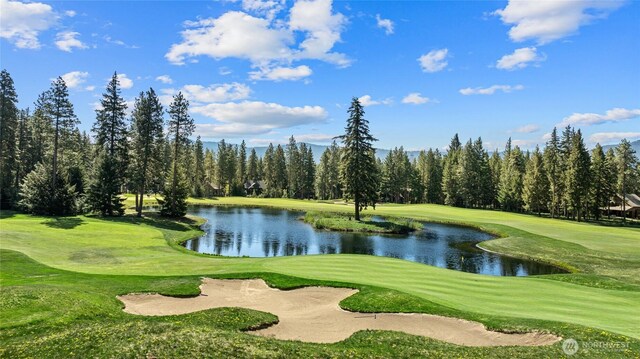 160 Bunchberry Ct, Cle Elum, WA 98922 - photo 13