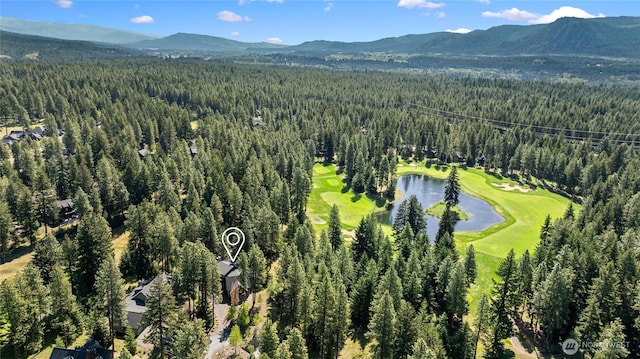 160 Bunchberry Ct, Cle Elum, WA 98922 - photo 36