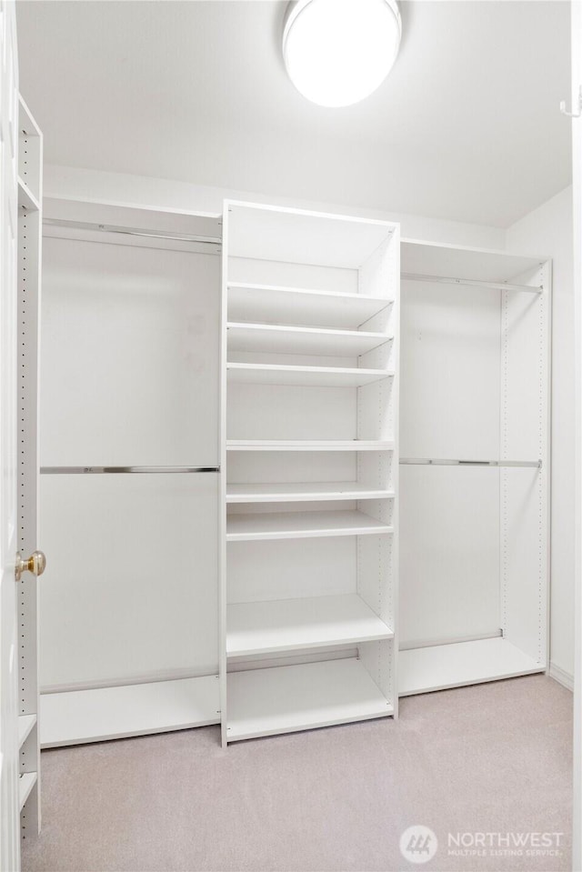 10308 139th Street Ct E, Puyallup, WA 98374 - walk in closet with carpet