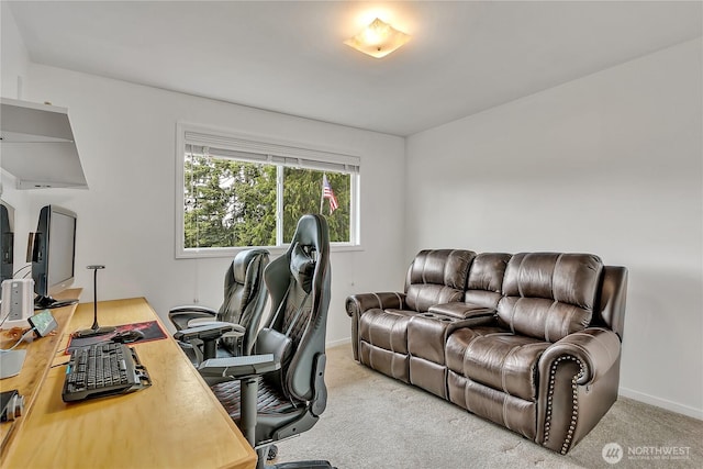 12416 SE 210th St, Kent, WA 98031 - home office with carpet and baseboards