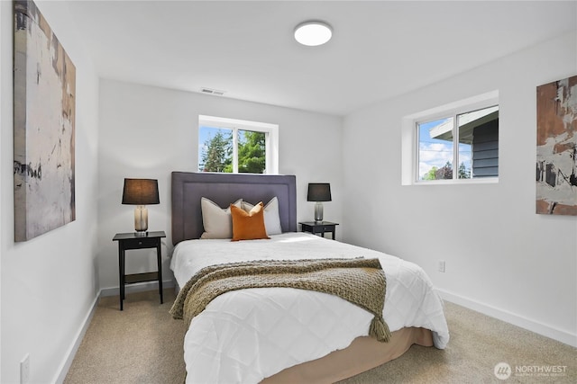 bedroom featuring multiple windows, carpet, and baseboards