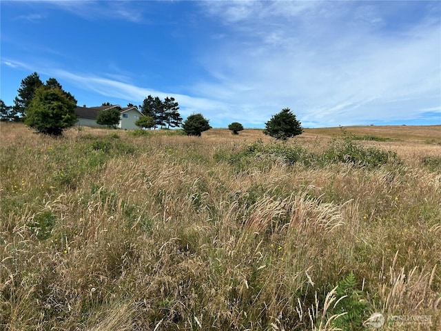 97 Meadow Ln, Friday Harbor, WA 98250 - photo 6