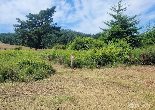 97 Meadow Ln, Friday Harbor, WA 98250 - photo 3