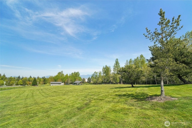 5377 Timber Ridge Dr, Mount Vernon, WA 98273 - view of green lawn