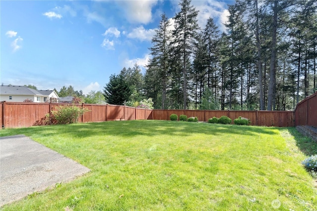 view of yard