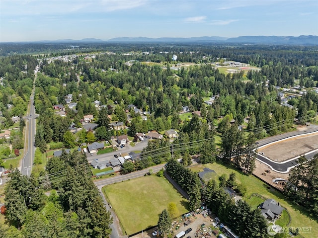 19316 Rhodes Lake Rd E, Bonney Lake, WA 98391 - photo 1