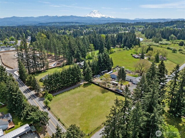 19316 Rhodes Lake Rd E, Bonney Lake, WA 98391 - photo 5