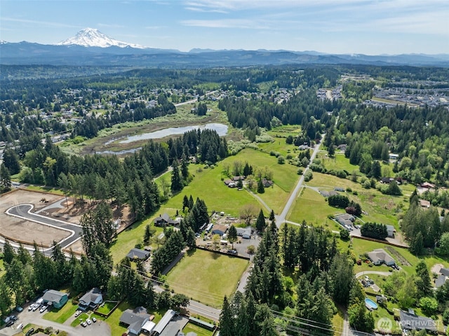 19316 Rhodes Lake Rd E, Bonney Lake, WA 98391 - photo 11