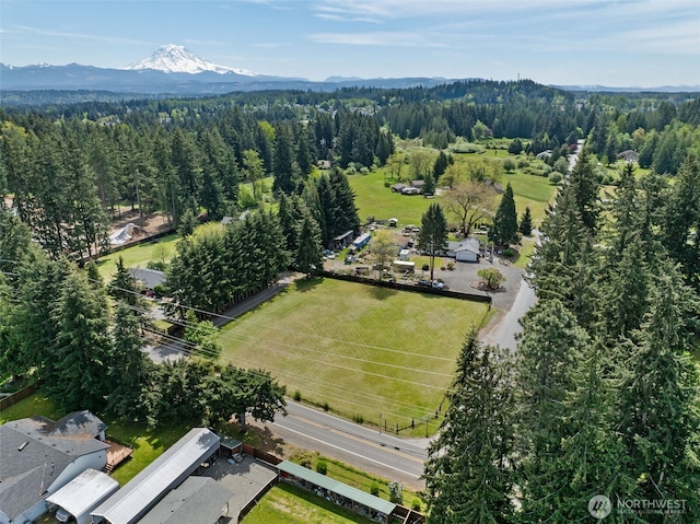 19316 Rhodes Lake Rd E, Bonney Lake, WA 98391 - photo 12