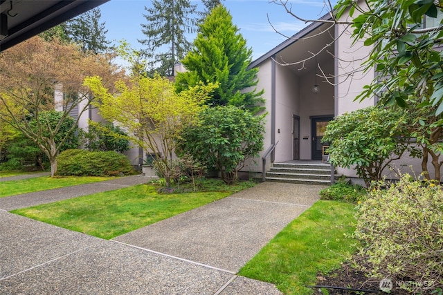 view of exterior entry featuring stucco siding and a lawn