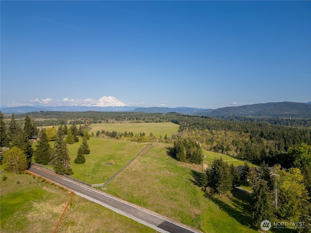 44411 14th Ave E, Eatonville, WA 98328