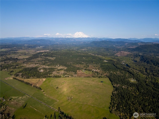 44411 14th Ave E, Eatonville, WA 98328