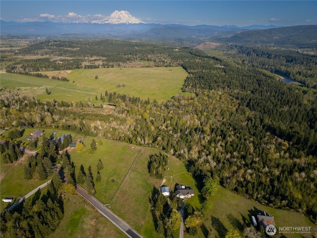44411 14th Ave E, Eatonville, WA 98328