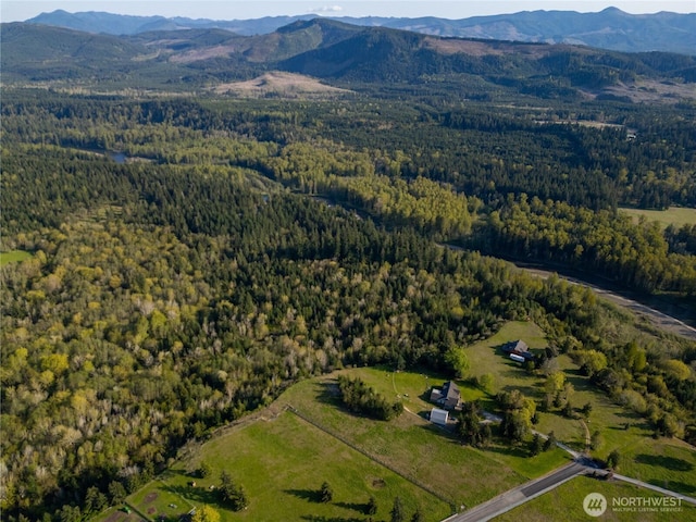 44411 14th Ave E, Eatonville, WA 98328
