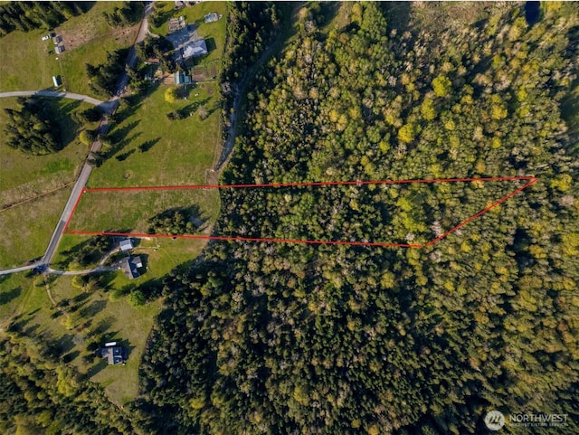 44411 14th Ave E, Eatonville, WA 98328