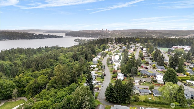aerial view of residential area with a nearby body of water and a forest