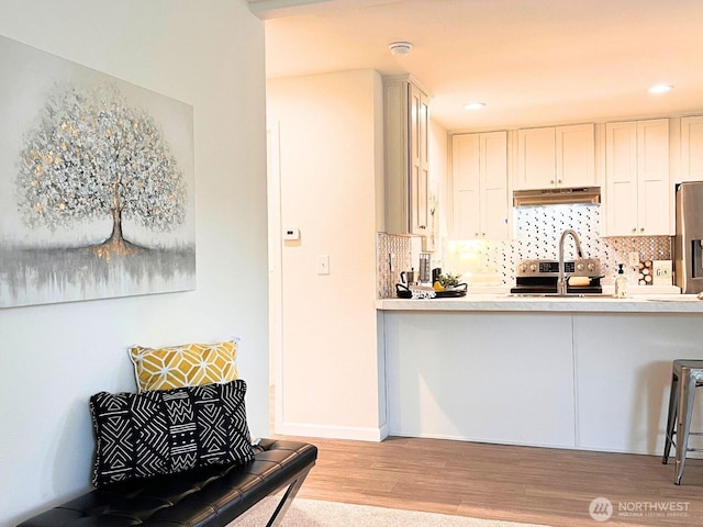 kitchen featuring a sink, under cabinet range hood, light wood-type flooring, tasteful backsplash, and recessed lighting