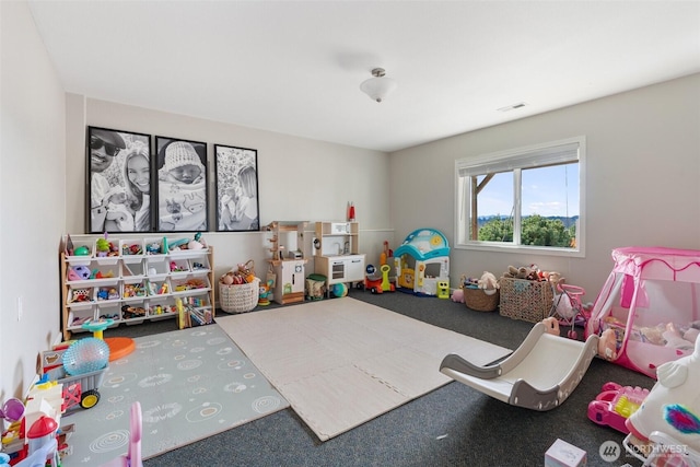 247 Devereese Rd, Chehalis, WA 98532 - rec room featuring carpet floors
