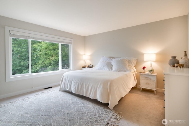 1075 SW 12th St, North Bend, WA 98045 - bedroom with carpet and baseboards