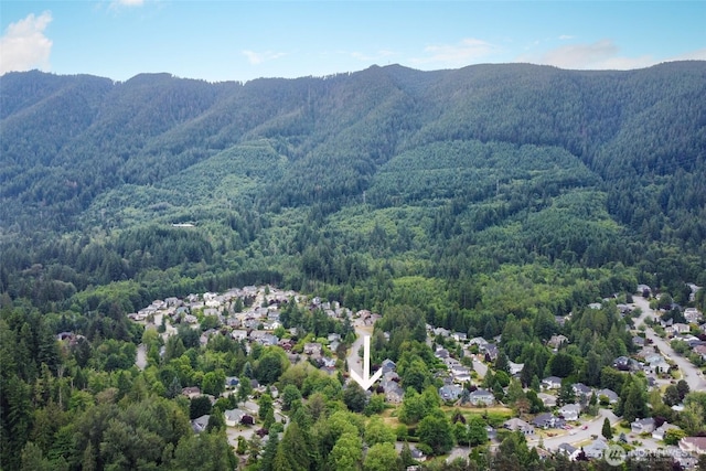 1075 SW 12th St, North Bend, WA 98045 - aerial view of a forest and a mountainous background