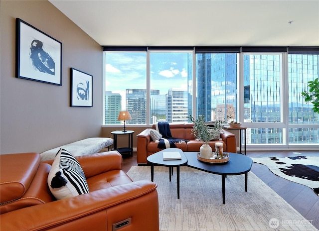 10700 NE 4th St Unit 2710, Bellevue, WA 98004 - living room featuring wood finished floors and a view of city