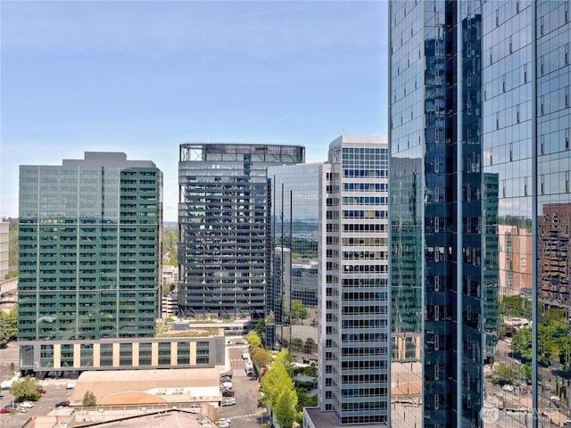 10700 NE 4th St Unit 2710, Bellevue, WA 98004 - city view
