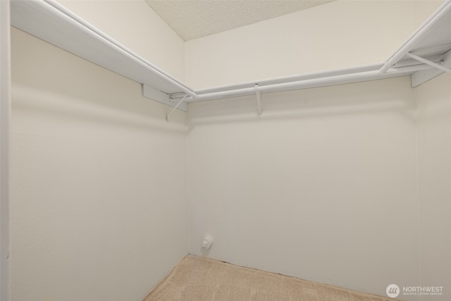 1820 SW 318th Pl Unit 26D, Federal Way, WA 98023 - walk in closet featuring carpet
