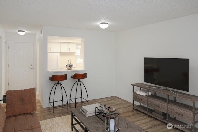 living room featuring wood finished floors