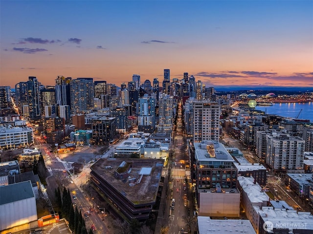 2911 2nd Ave Unit 411, Seattle, WA 98121 - city view featuring a large body of water