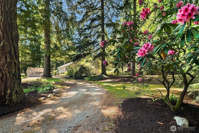 11607 SW Cove Rd, Vashon, WA 98070 - view of dirt / gravel road