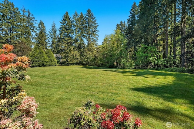 11607 SW Cove Rd, Vashon, WA 98070 - view of green lawn featuring a view of trees