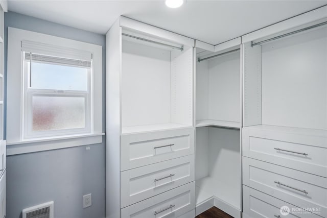 9348 54th Ave S, Seattle, WA 98118 - view of walk in closet