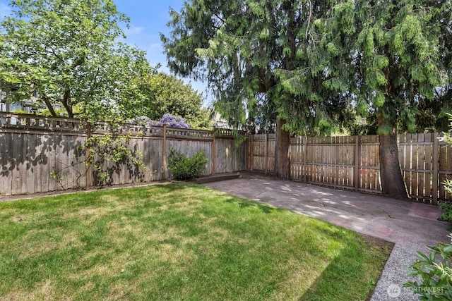 view of yard with a patio