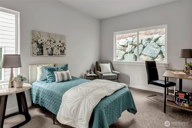 8826 NE 173rd Pl Unit B, Bothell, WA 98011 - bedroom with carpet and baseboards