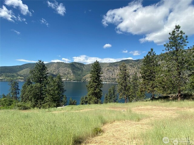 2524 Lakeshore Dr, Manson, WA 98831