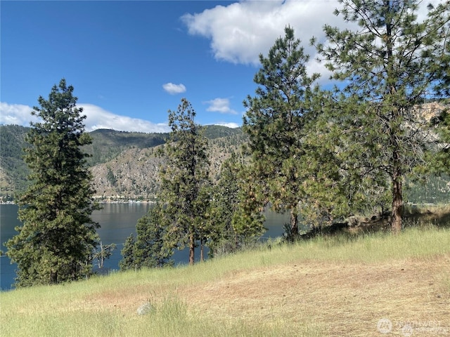 2524 Lakeshore Dr, Manson, WA 98831