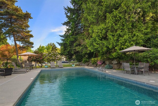 1101 Bellefield Park Ln Unit 1356, Bellevue, WA 98004 - photo 33