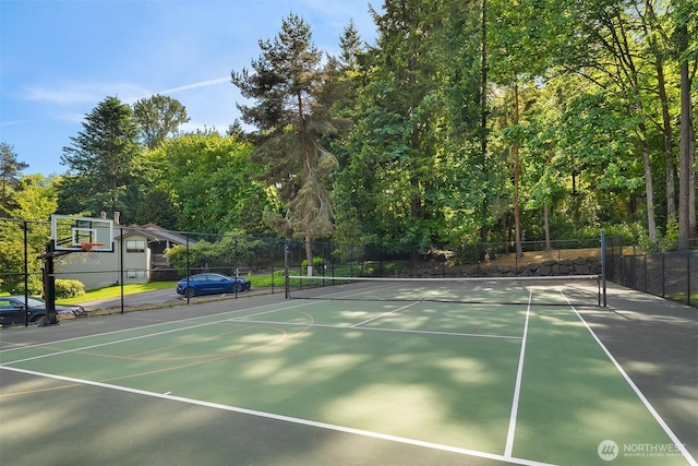 1101 Bellefield Park Ln Unit 1356, Bellevue, WA 98004 - photo 34