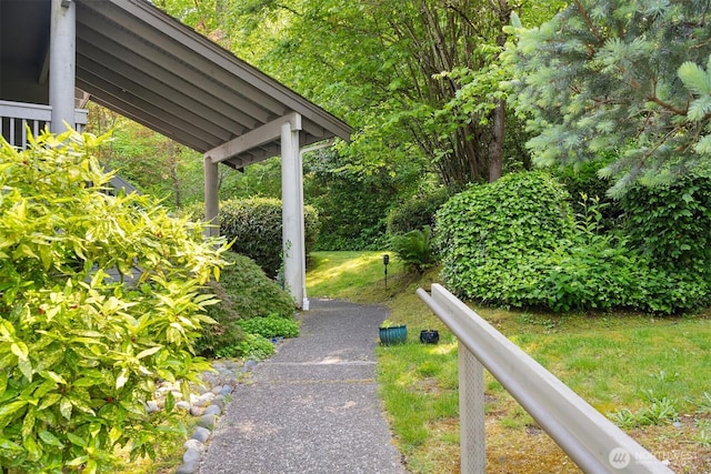 1101 Bellefield Park Ln Unit 1356, Bellevue, WA 98004 - photo 32