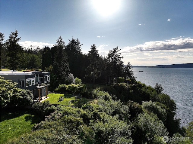 3139 Saratoga Rd, Langley, WA 98260 - water view