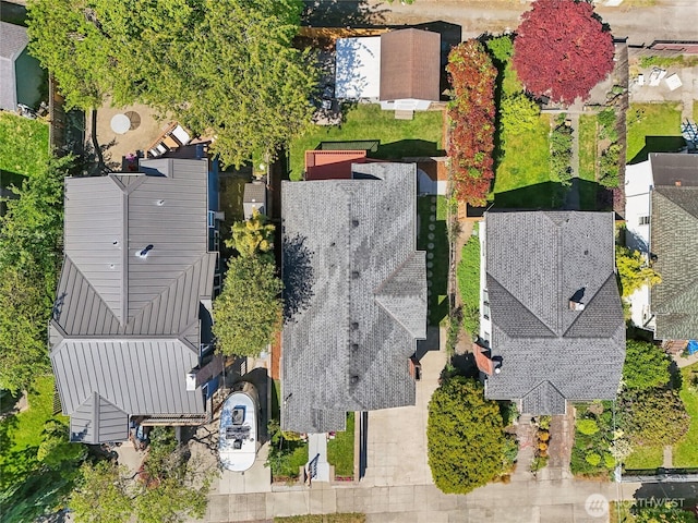 bird's eye view