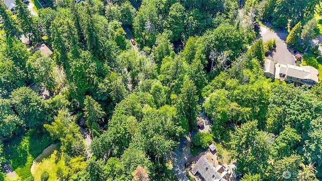 44 Raft Island Dr NW, Gig Harbor, WA 98335 - photo 7