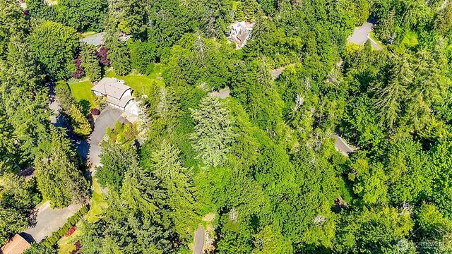 44 Raft Island Dr NW, Gig Harbor, WA 98335 - photo 10
