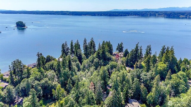 44 Raft Island Dr NW, Gig Harbor, WA 98335 - photo 13