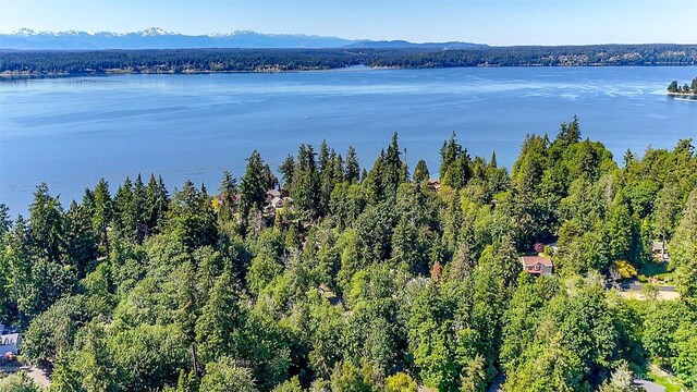 44 Raft Island Dr NW, Gig Harbor, WA 98335 - photo 14