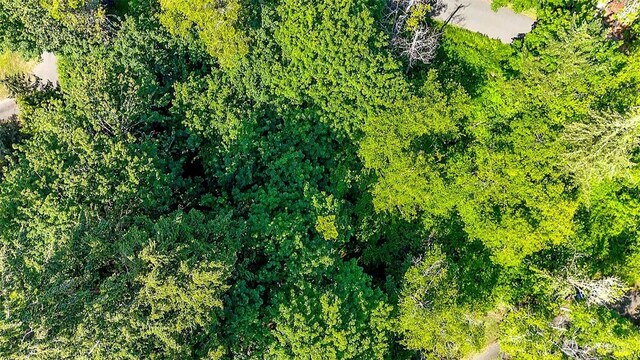 44 Raft Island Dr NW, Gig Harbor, WA 98335 - photo 15