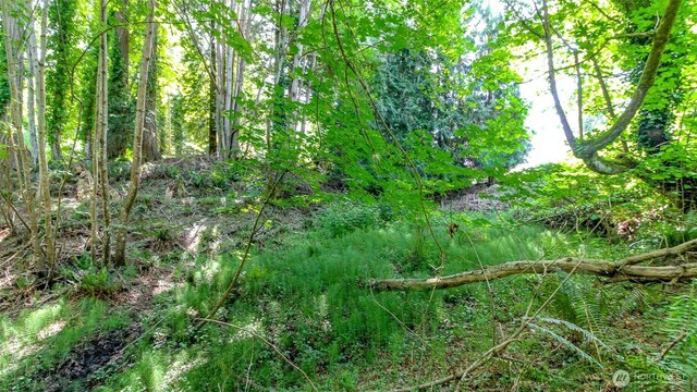 44 Raft Island Dr NW, Gig Harbor, WA 98335 - photo 18