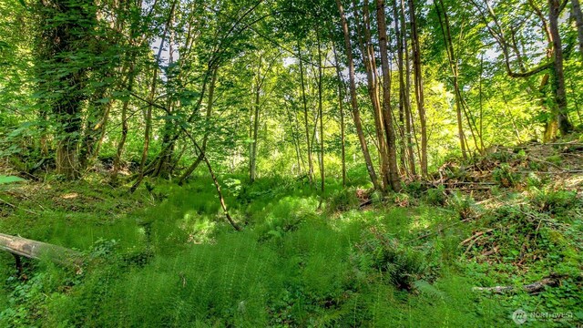 44 Raft Island Dr NW, Gig Harbor, WA 98335 - photo 20