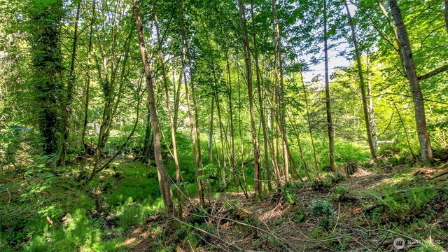 44 Raft Island Dr NW, Gig Harbor, WA 98335 - photo 21