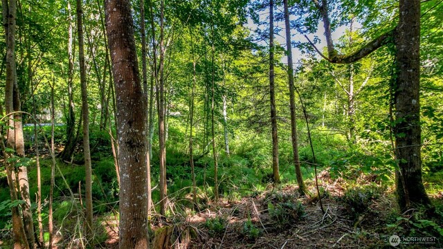 44 Raft Island Dr NW, Gig Harbor, WA 98335 - photo 22